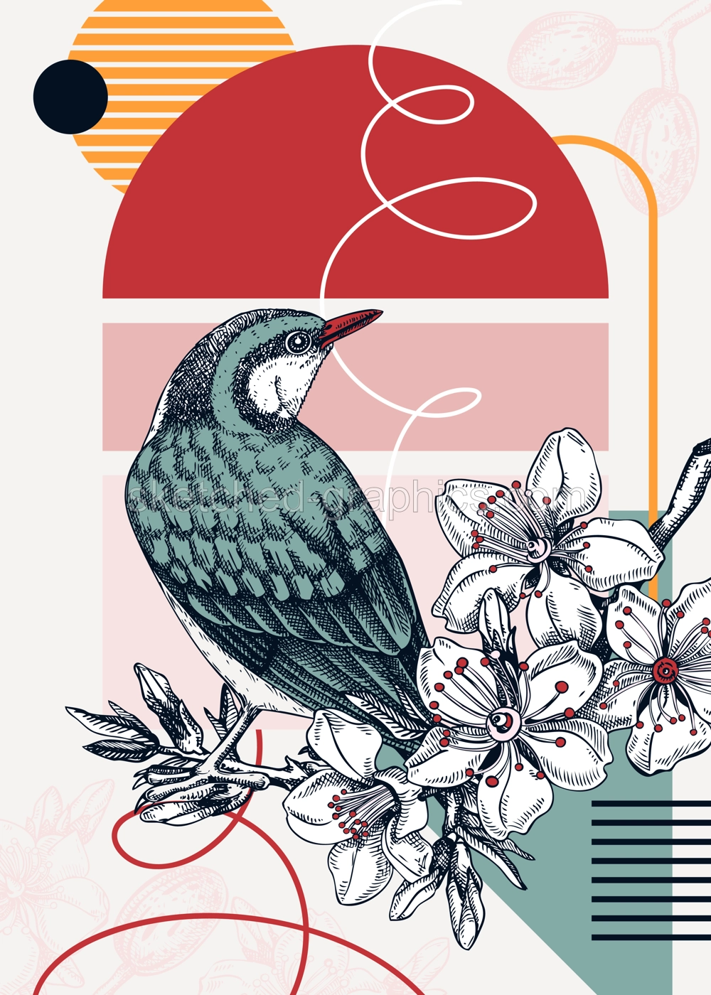 Collage-style bird cards set. Sketched birds trendy poster collection. Creative designs with botanical illustrations, geometric shapes, and abstract elements for nature print, wall art, packaging.  Illustration